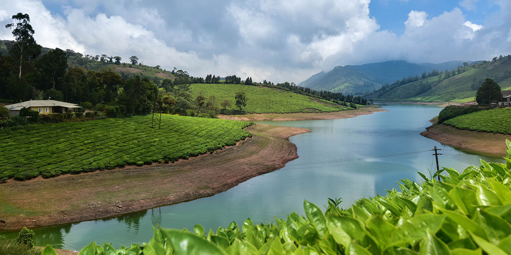 Valparai